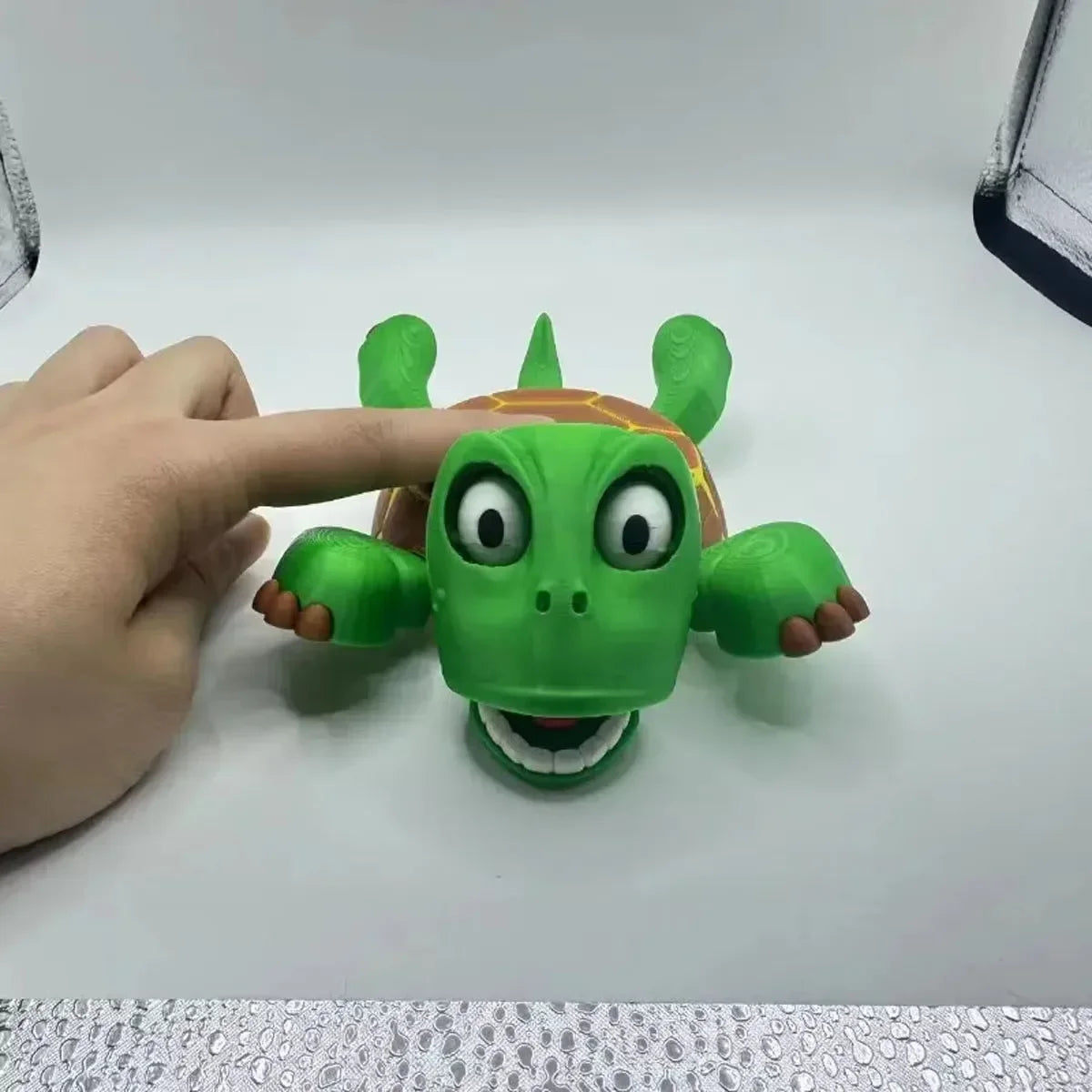 Panicked Turtle Coaster