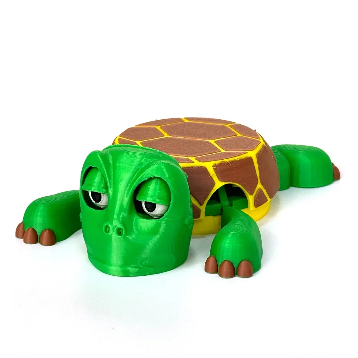 Panicked Turtle Coaster