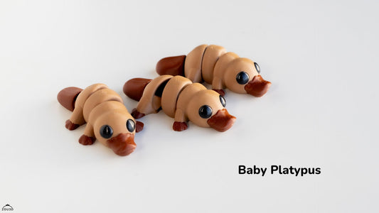 Baby Platypus - 3D printed collectible figure by ZOU3D, view 2