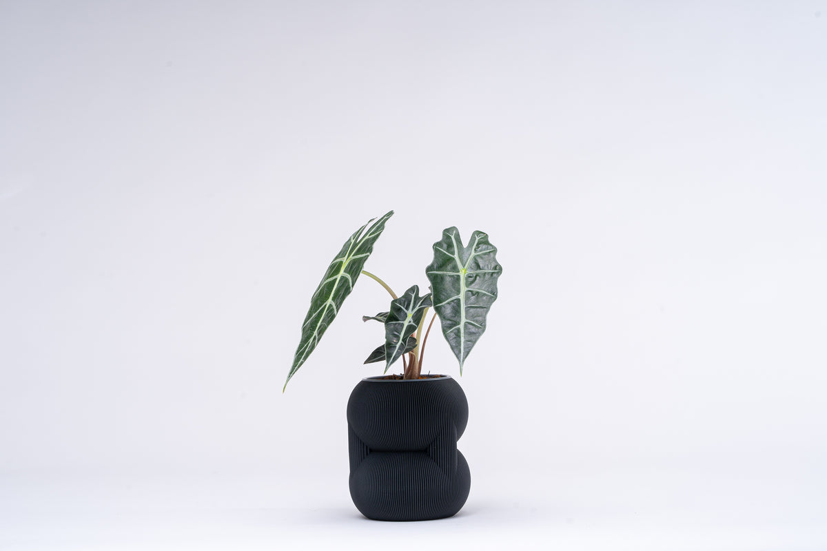 83 Vase shown in several colours.