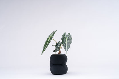 83 Vase shown in several colours.