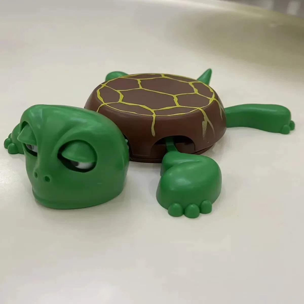 Panicked Turtle Coaster