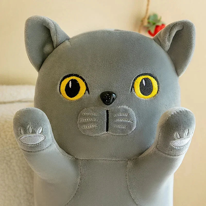Squishy Cat Plush