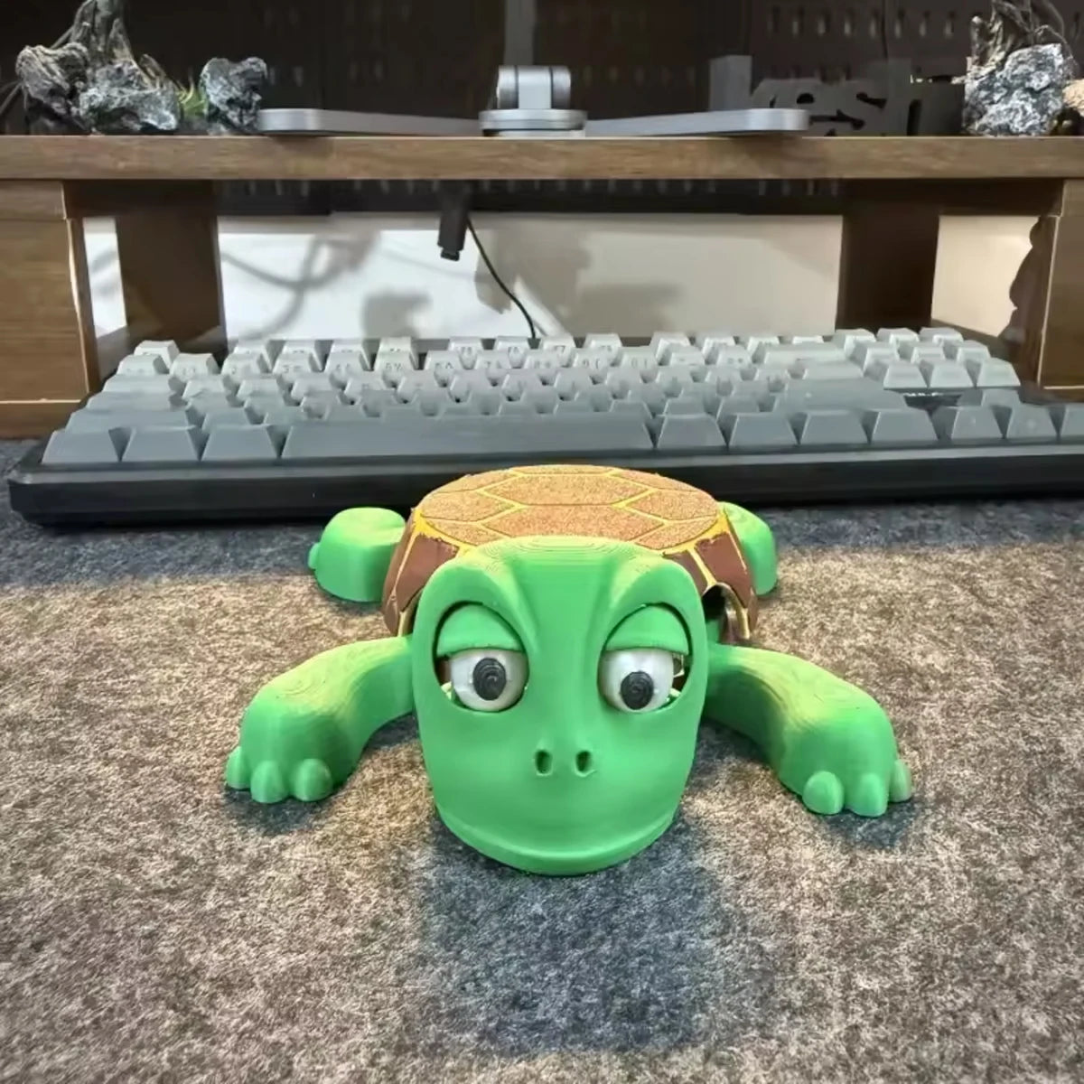 Panicked Turtle Coaster