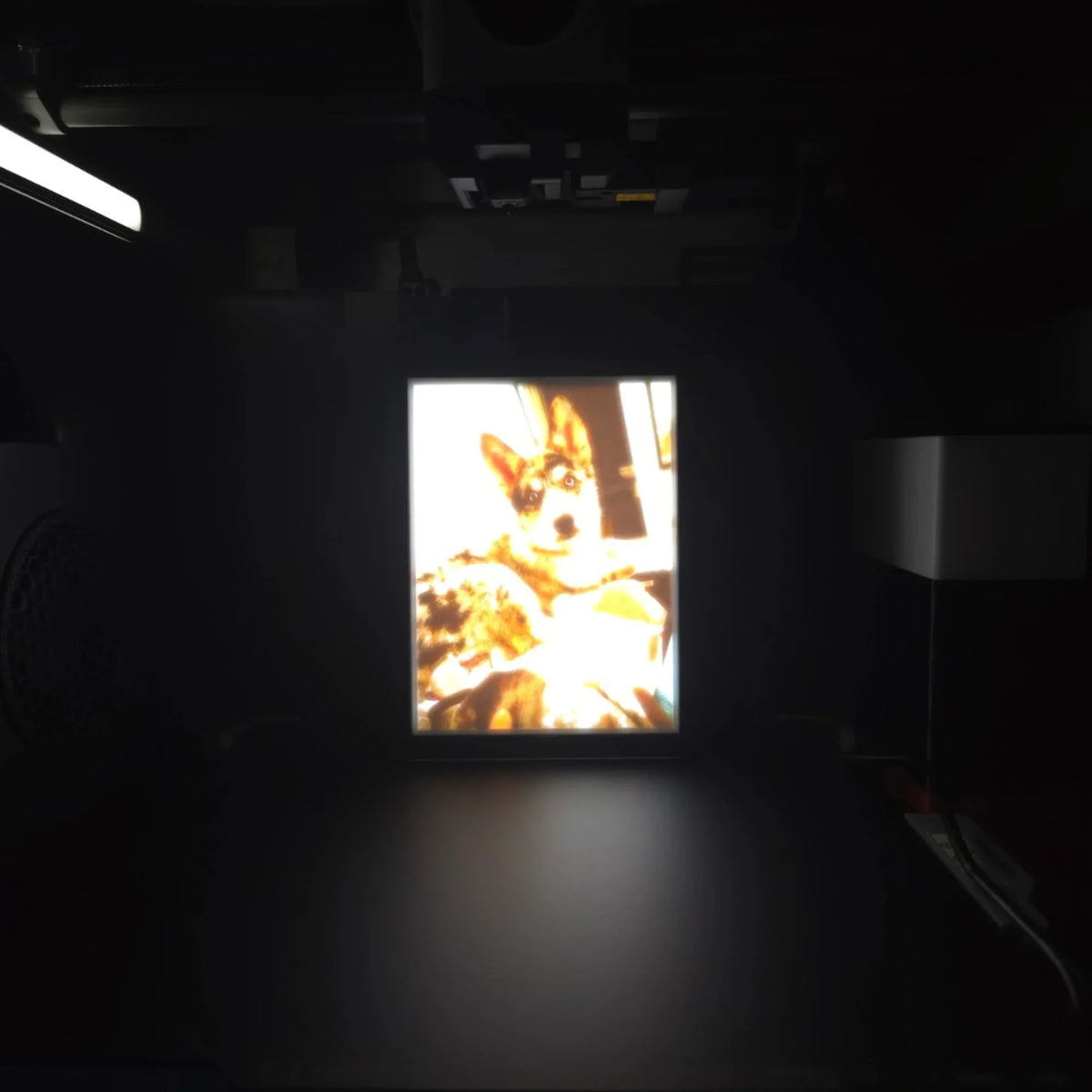 3D printer creating a detailed lithophane of a dog, illuminated inside the printer