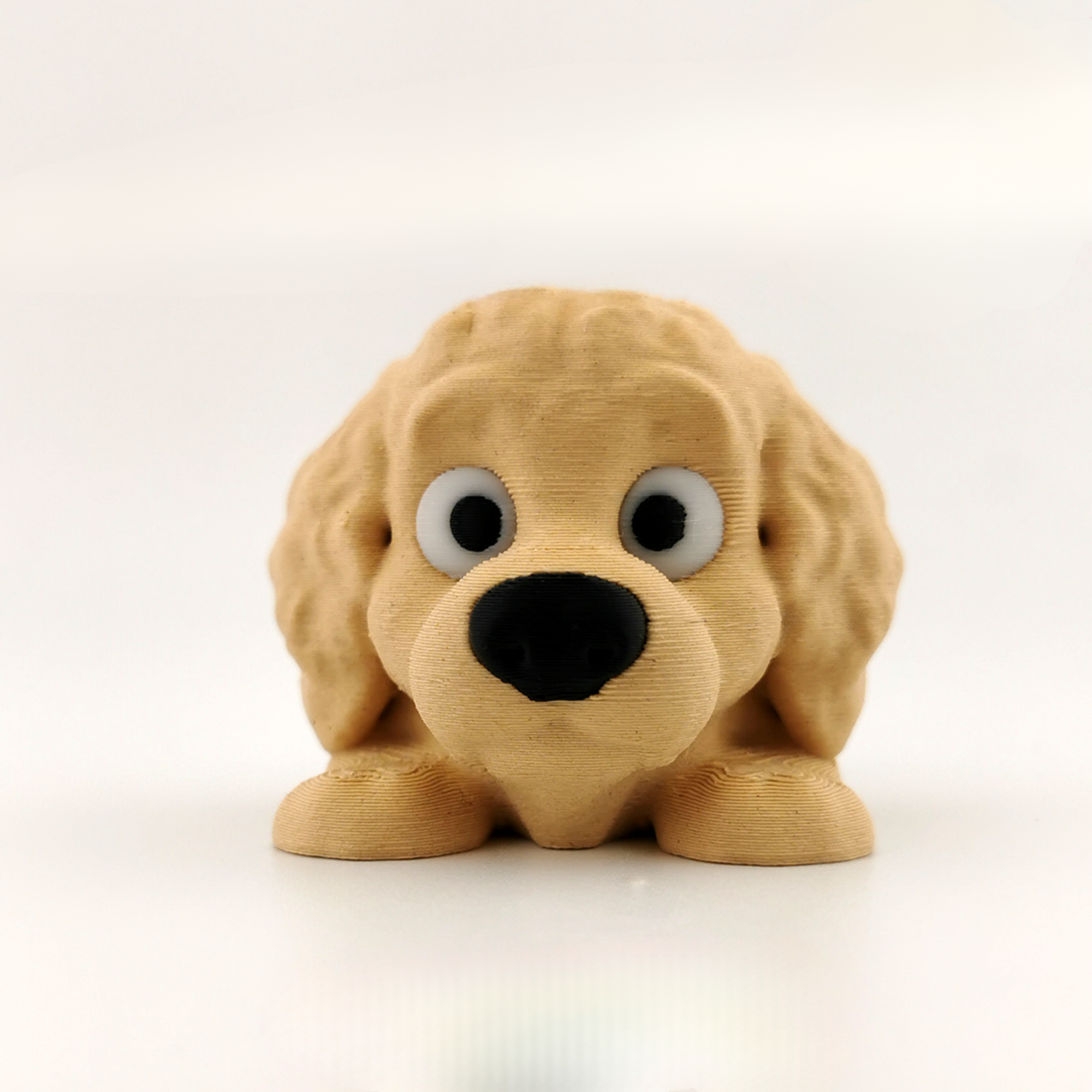 Mini Flexi Golden Doodle