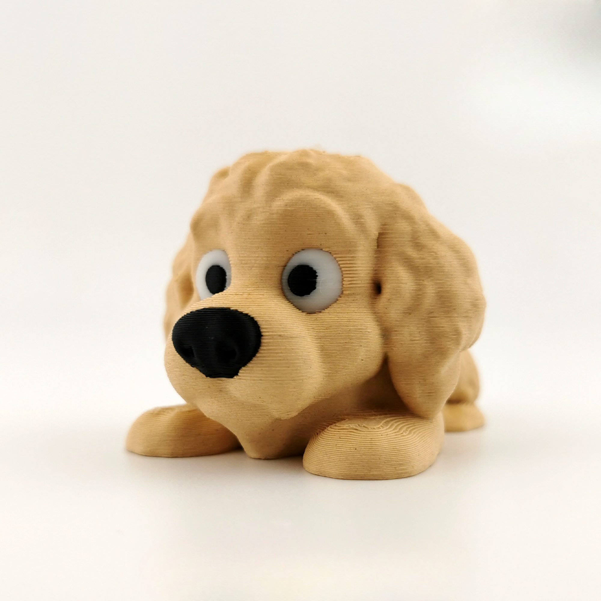 Mini Flexi Golden Doodle