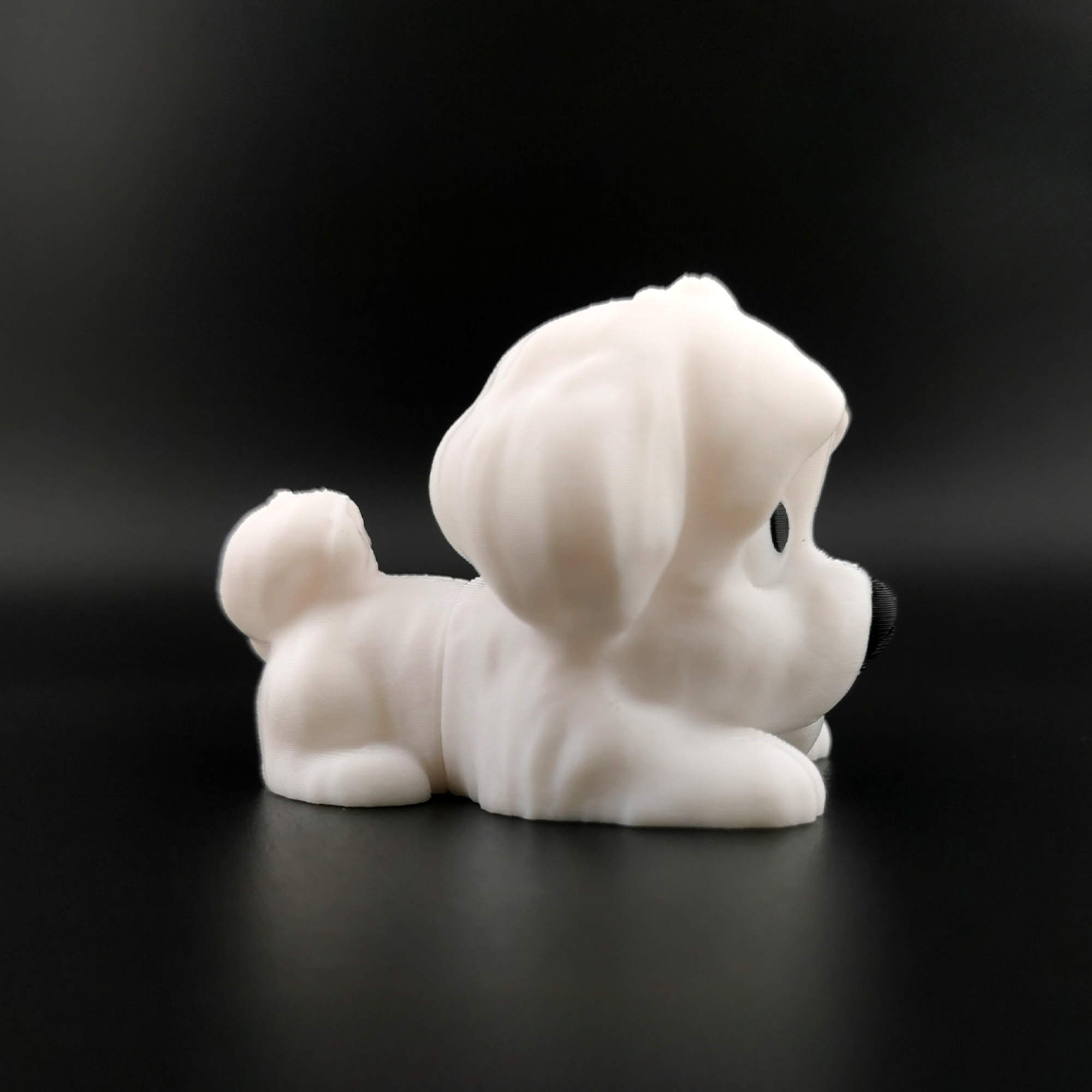 Mini Flexi Maltese