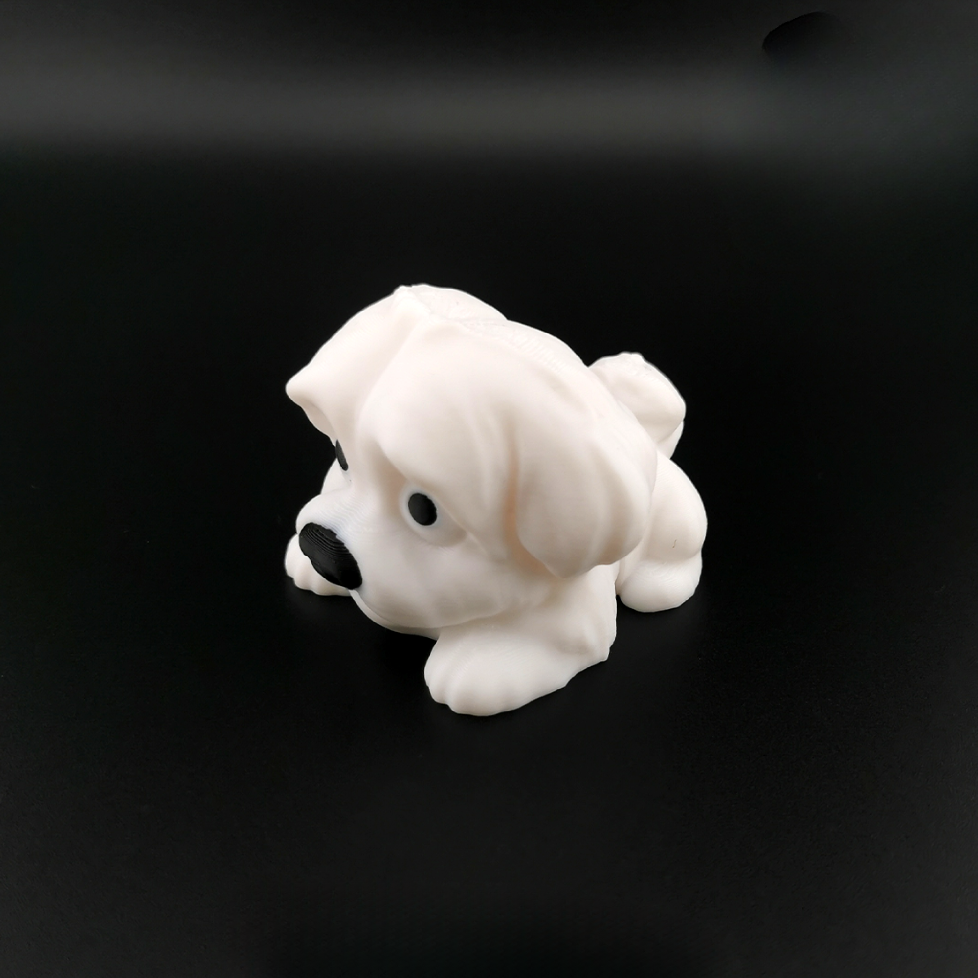 Mini Flexi Maltese