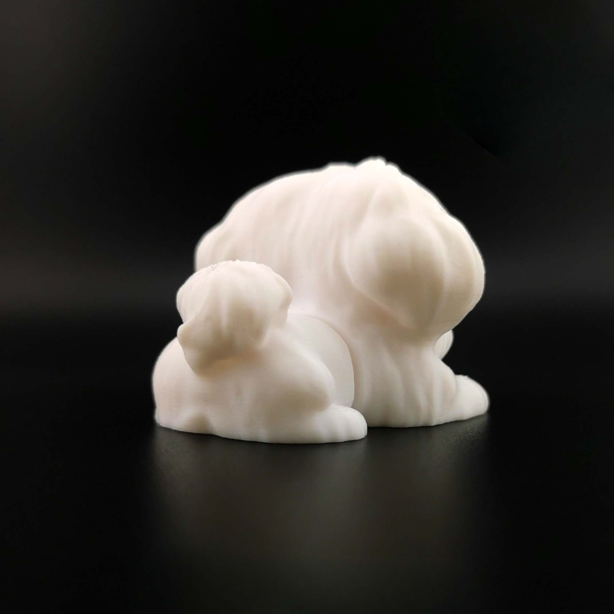 Mini Flexi Maltese