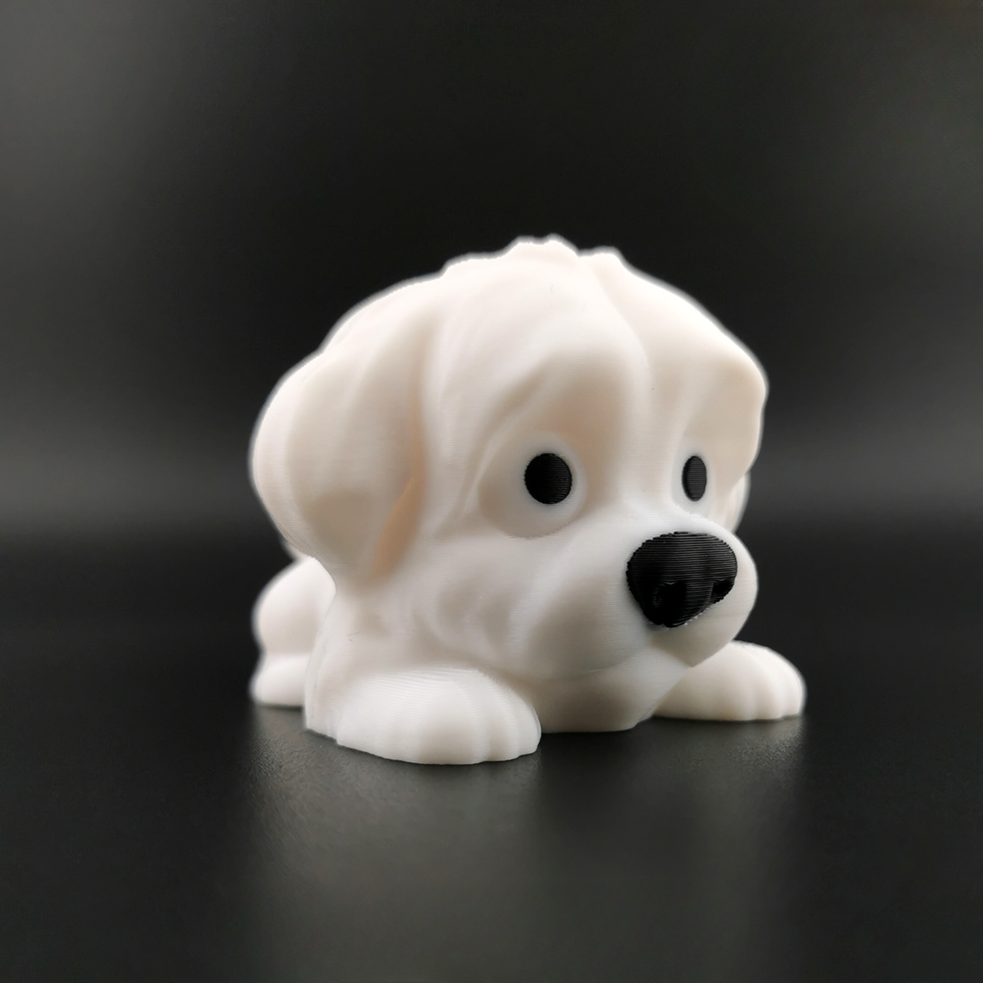 Mini Flexi Maltese