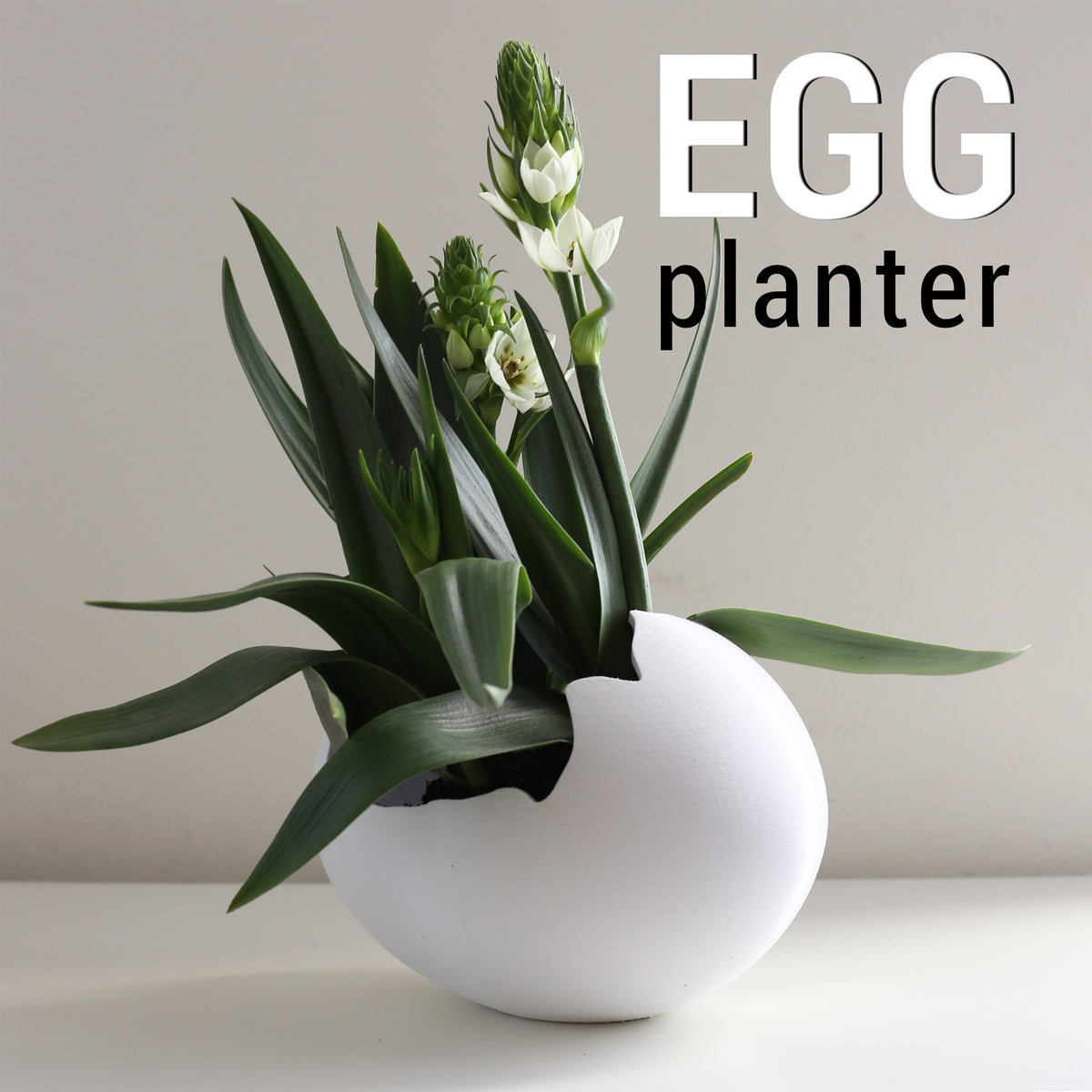 Egg planter, 3D printed cracked shell succulent pot. Design by 3D Shook.