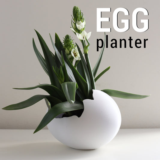 Egg planter, 3D printed cracked shell succulent pot. Design by 3D Shook.